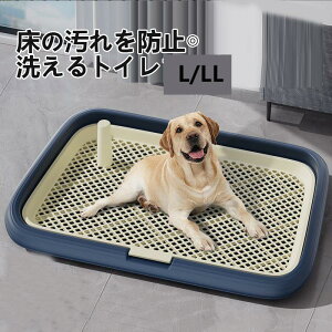 【送料無料】犬トイレ 特大 犬 トイレ トレー 犬 ペットトイレ 足が濡れない おしゃれ トイレトレーニング ペットトレー ワイド ペット用 老犬 フチもれ防止 抗菌Ag+ いたずら防止 ふち漏れ