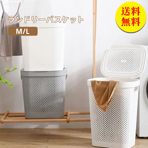 yzh[oXPbg JS e  oXPbg󂩂 X h   lC t 傫 y Vv h[obO 43.5×s35×44.