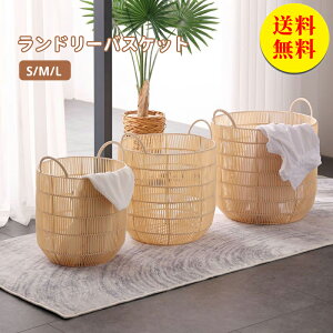 yzh[oXPbg JS e  oXPbg󂩂 X h   lC t 傫 y Vv h[obO a43×48cm