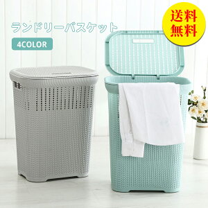 yzh[oXPbg JS e  oXPbg󂩂 X h   lC t 傫 y Vv h[obO 42×s33×54cm