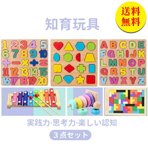 【送料無料】知育玩具 はめ込みパズル 木琴 数合わせ プレゼント パズル 木製遊びパズル 木のおもちゃ お誕生日プレゼント 1歳 1歳半 2歳 3歳 4歳 5歳 6歳