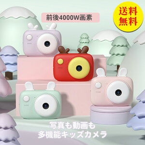 yzqp J gCJ LbYJ  | Jo[Xgbvt ǂJ ̎q j̎q LbY a NX}X v[g 蕨 Mtg