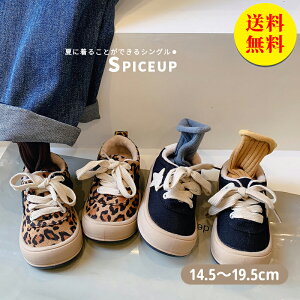 yzqC qE LbYV[Y Xj[J[ LbY q Xb| JWAV[Y@Mtg j̎q ̎q C Xj[J[ ʉ ʊw w Ǝ w a 4 w