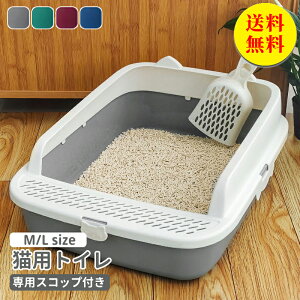 yzLgC lRgC L gC n[tJo[ Vv tI[v XRbvt Lp lRpi L юUh~   |₷ юUȂ QL  