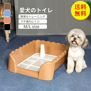 yzgC  gC g[  ybggC  gCg[jO ybgg[ Ch ybgp t`h~ h~ ӂR t`R  gCg[