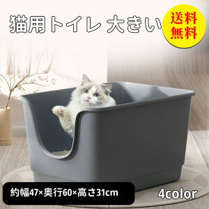 yzL gC  ^  ˂ lR ybg PPf юUȂ K[h [  VjA   LgC L e Vv J  R ybgpi 47×