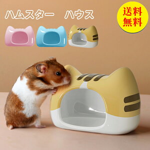 yznX^[  nEX Q nX^[ Ђ    nX^[ ΍ h[tnX^[   ͂ނ ЂnEX I[V[Y Q 