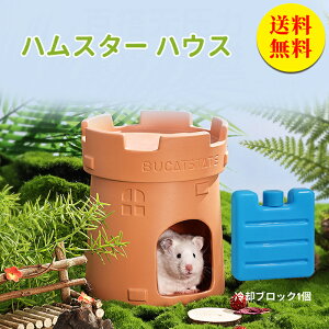 【送料無料】ハムスター 陶器 ハウス 寝床 ハムスター ひんやり 涼しい お部屋 お家 ハムスター 暑さ対策 ドワーフハムスター 小屋 小動物 はむちゃん ひんやりハウス オールシーズン 寝床