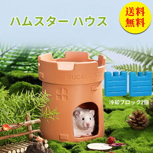 yznX^[  nEX Q nX^[ Ђ    nX^[ ΍ h[tnX^[   ͂ނ ЂnEX I[V[Y Q 