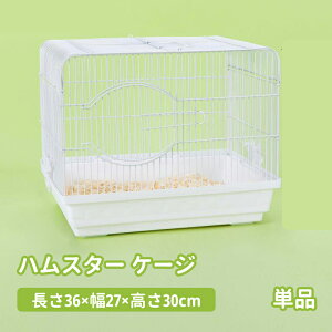 yznX^[ P[W N[ P[W  P[W nX^[ nEX ʋC ֗ 珬 ^ nX^[ |炭炭   36×27×3
