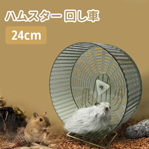 【送料無料】サイレントホイール ハムスター 回し車 24cm ランニングホイール 小動物 運動 ストレス解消 ホイール 飼育 おもちゃ クリア 静音 静かだ輪 車輪 ベアリング 車輪 静か ケージ 取