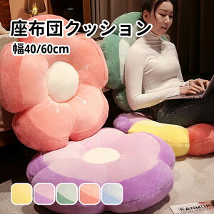 yzzc NbV V[gNbV a40cm a60cm tANbV Ԍ^   ֎qp k  킢 CeA G  zc a Eh^Cv tAN