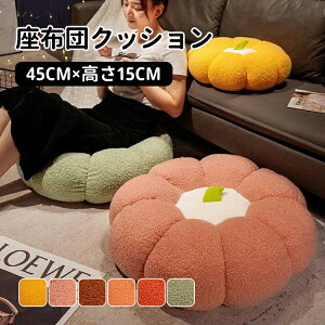 yztANbV zc NbV a45cm ~` ی^    ֎qp k  킢 CeA G  zc a Eh^Cv tANbV k N
