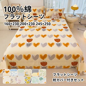 yzxbhV[c NC[ ~p tbgV[c Z~_u _u VO 160×230 200×230 245×250 100 킢 ԕ 璹iq `[bv KN h 􂦂 Q ̓ Mt