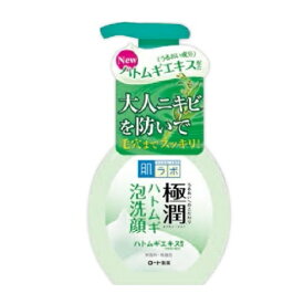 【肌研(ハダラボ)】極潤 ハトムギ泡洗顔(160ml)