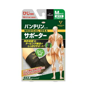 oeR[T|[^[ЂpubNӂMTCYi1jiEʁj