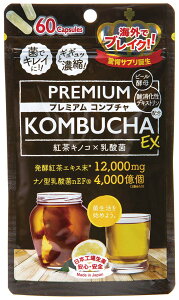 y[֑ΉzWpMY@v~ARu`EX@60KOMBUCHA