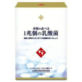 楽天市場 Kw乳酸菌 プロバイオティクス サプリメント ダイエット 健康の通販
