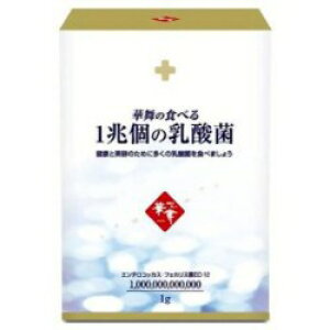 �y�A�E�g���b�g�F�ܖ�����2026.04�z���ؕ��̐H�ׂ�1���̓��_�� 1.0g×30�{�����_�� �_�C�G�b�g ���e �A�����M�[