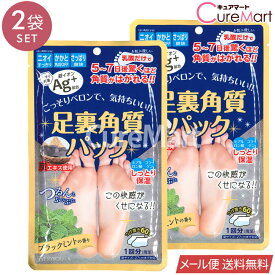 足裏角質パック ブラックミントの香り◆2袋セット 銀イオンAg+【メール便 送料無料】1000円ポッキリ 竹酢液 炭 角質取り 角質ケア 角質除去 ピーリング フットパック 足パック 足の臭い 対策 足のにおい かかとケア かかとつるつる 踵 ハッカ EVERYYOU エブリユー ドウシシャ