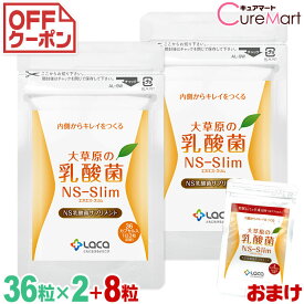 大草原の乳酸菌 NS-Slim 36粒◆2袋セット ＋[8粒 増量] NS乳酸菌 モンゴル乳酸菌 ダイエットサプリメント スリム 善玉菌 cpt