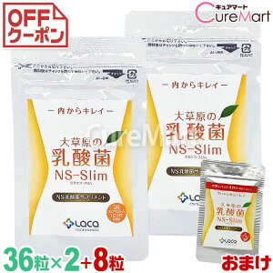 �呐���̓��_�� NS-Slim 36����2�܃Z�b�g �{[8�� ����] NS���_�� �����S�����_�� �_�C�G�b�g�T�v�������g �X���� �P�ʋ� cpt