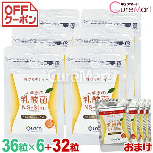 �呐���̓��_�� NS-Slim 36����6�܃Z�b�g �{[32�� ����]�y���������zNS���_�� �����S�����_�� �_�C�G�b�g�T�v�������g �X���� �P�ʋ� cpt