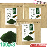 ヤエヤマ クロレラ 100％ 粉末 100g◆3袋セット 八重山クロレラ 八重山産 クロレラパウダー 石垣島 無添…