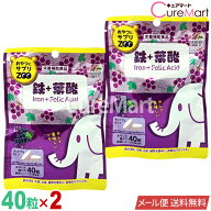 おやつにサプリZOO [鉄＋葉酸] 40粒◆2袋セット 日本製 ユニマットリケン【メール便送料無料】1000円ポッ…
