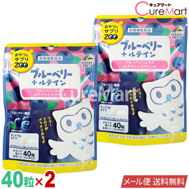 おやつにサプリZOO [ブルーベリー＋ルテイン] 40粒◆2袋セット ユニマットリケン【メール便送料無料】1000円ポッキリ ブルーベリー ルテイン サプリ チュアブルタイプ サプリメント ルテイン ビタミンA ビルベリー マリーゴールド 子供 大人 サプリメント