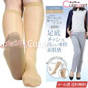 ストッキングソックス 薄手 足底メッシュ ハイソックス 素肌感 22-25cm【楽天ロジ発送 送料無料】6765 蒸れない 靴下 レディース まるでストッキングを履いたようなくつした ストッキングに見える靴下 ひざ下 ストッキング 靴下 足底綿 フットカバー 砂山 SUNAYAMA