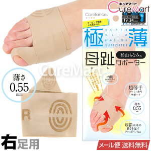 y݌ɌzRȂݎ ɔ T|[^[ [Ep] {yyVW z8149 O T|[^[ C O  ObY Odw ew R SUNAYAMA Carelance