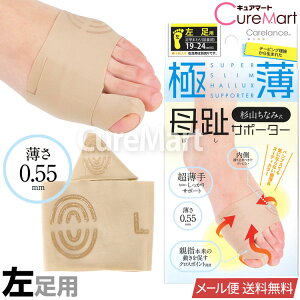 y݌ɌzRȂݎ ɔ T|[^[ [p] {yyVW z8149 O T|[^[ C O  ObY Odw ew RC SUNAYAMA Carelance