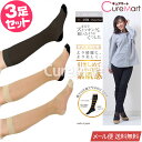 ストッキングソックス 着圧タイプ 薄手 ハイソックス クリアな素肌感◆3足セット 22-25cm 日本製【楽天ロジ発送 送料無料】9746 まるでストッキングを履いたようなくつした ストッキングに見える靴下 引き締め 着圧ストッキング 足底綿 ひざ下 砂山 SUNAYAMA