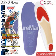 DSIS ソルボ バレーボール 22〜29cm 日本製 61820【メール便送料無料】SORBO ソルボ インソール スポーツ…