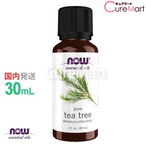 eB[c[ 30mLyNOW Foods K̔XzeB[g[IC eB[gD[ KAi GbZV IC ԕ ΍ ObY  L  V~   \h A} i