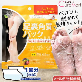 足裏角質パック フルーティーな香り フットピーリングパック 日本製 EVERYYOU【メール便送料無料】茶葉エキス 尿素配合 足裏 角質除去 角質取り かかと割れ 角質除去 フットケア 足パック 足の臭い 対策 におい 踵ケア 清潔感 エブリユー ドウシシャ