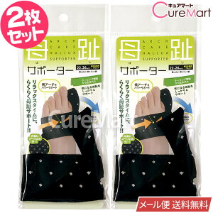 y݌ɌzT|[^[ Бp(Ep)2Zbg(1) 22-26cm {yyVW z0617 O ^ e[sO T|[^[ ~ߕt RA[` soX