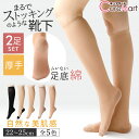 ストッキングソックス 厚手 ハイソックス 美肌感◆2足セット 足底綿 22-25cm【楽天ロジ発送 送料無料】9743PW まるでストッキングを履いたようなくつした ストッキングに見える靴下 あたたかく自然な美肌感 補正 ストッキング 靴下 フットカバー ひざ下 SUNAYAMA 砂山靴下