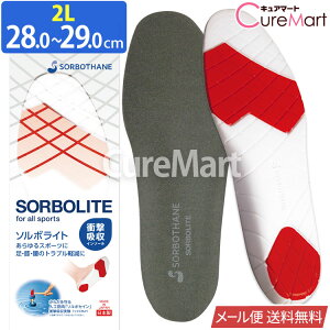 \{Cg 22`29cm { 61460y[֑zC\[ Ռz R  NbV Z 싅 oh~g EH[LO tBbglX ~ fB[X Y SORBOTH