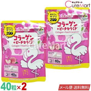 ɃTvZOO [R[Q{s[`Z~h] 402܃Zbg j}bgP {y[֑z1000~|bL Tv `Au^Cv Tvg e   R