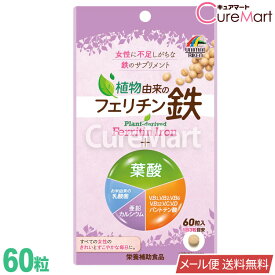 植物由来の フェリチン鉄+葉酸 60粒 日本製 ユニマットリケン【メール便送料無料】大豆由来 葉酸 鉄 サプリ 葉酸サプリ 鉄分 サプリメント 非ヘム鉄 Fe 植物性鉄 女性 乳酸菌配合 亜鉛 ビタミン