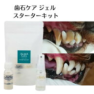 【犬 猫 歯石ケア】歯磨きジェル スターターキット（ダイアモンド＆クリスタル）塗るだけ 歯ブラシ不要 …