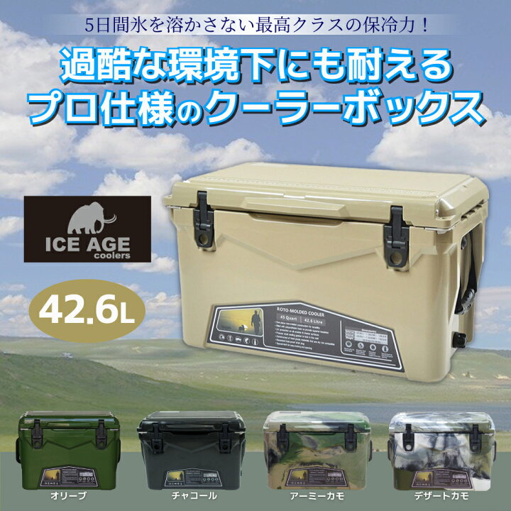 楽天市場】【楽天お買い物マラソン期間中＼20％OFFセール！！ポイント5 