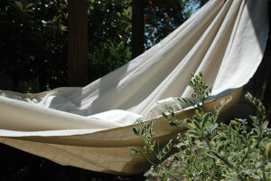 nbNCt _uTCY RrA nbN Vv \ Vz  OsO Lv LAX I[KjbN  uh Rbg