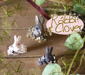 DECOʁN[o[O rbg wցyz fB[X  ANZT[ v[g NX}X a Mtg WG[ 蕨 Xmas Vo[925 킢 