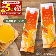 【P5倍＆クーポンご利用で300円OFF】サジー すっきり美味しいサジー 1000ml 2本セット SajiOne 鉄分 飲み…