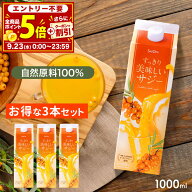 【P5倍＆クーポンご利用で900円OFF】サジー すっきり美味しいサジー 1000ml 3本セット SajiOne 鉄分 飲み…