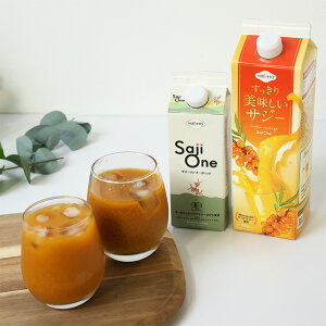 y12/1 ő20OFFN[|zzzTW[W[X ݔ 2{Zbg TW[ SajiOneI[KjbN TW[ S e N h{⋋ Y  Xg[g IW 