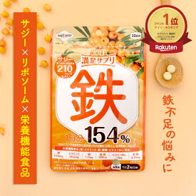 【新発売記念50％OFFクーポン配布中】サジー サプリ 栄養機能食品 30日満足サプリ 60粒 鉄 サジーワン リポソーム SajiOne 鉄サプリ 鉄分補給 サプリメント 銅 葉酸 ビタミンC 亜鉛